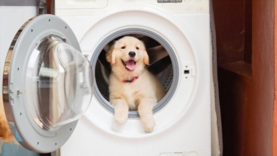 how to get rid of dog hair in washing machine