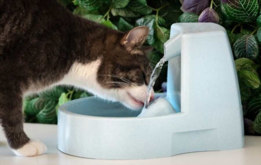 Untippable cat water fountain made of ceramic