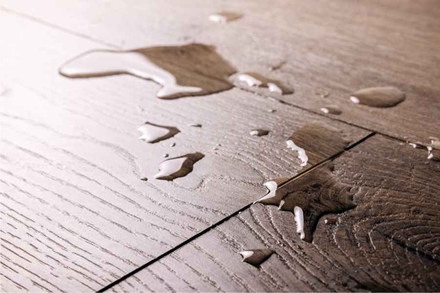 How To Get Rid Of Cat Pee Smell On Wood Floor