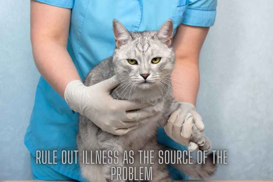 Rule Out Illness As The Source Of The Problem