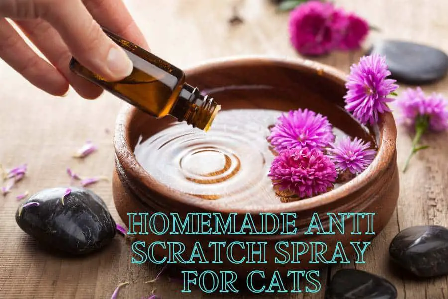 Homemade Anti-Scratch Spray For Cats