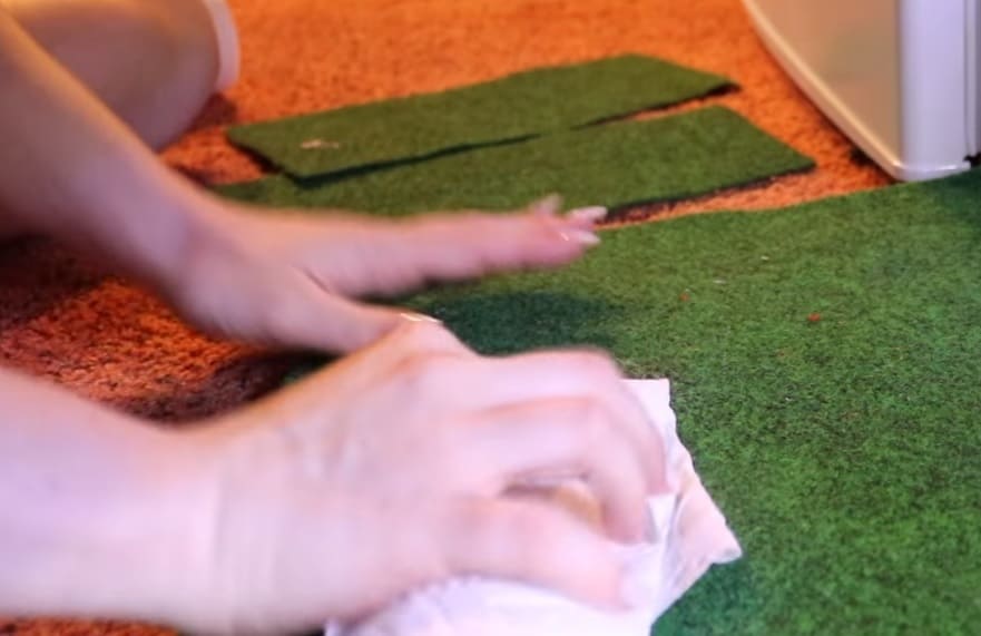 How To Spot-Clean A Reptile Carpet
