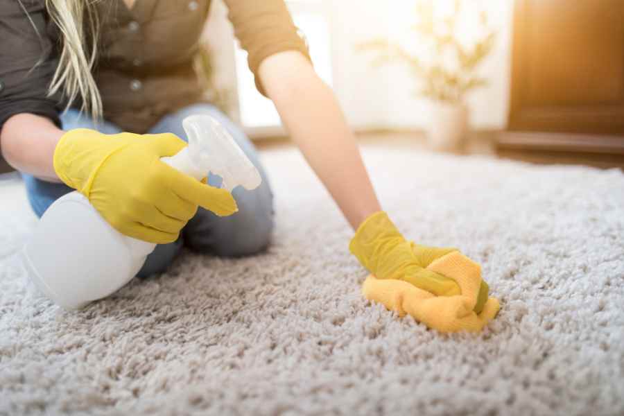 How to Remove Wet and or Clumped Cat Litter from Carpets