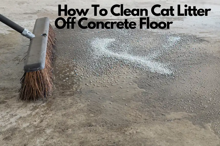 How To Clean Cat Litter Off Concrete