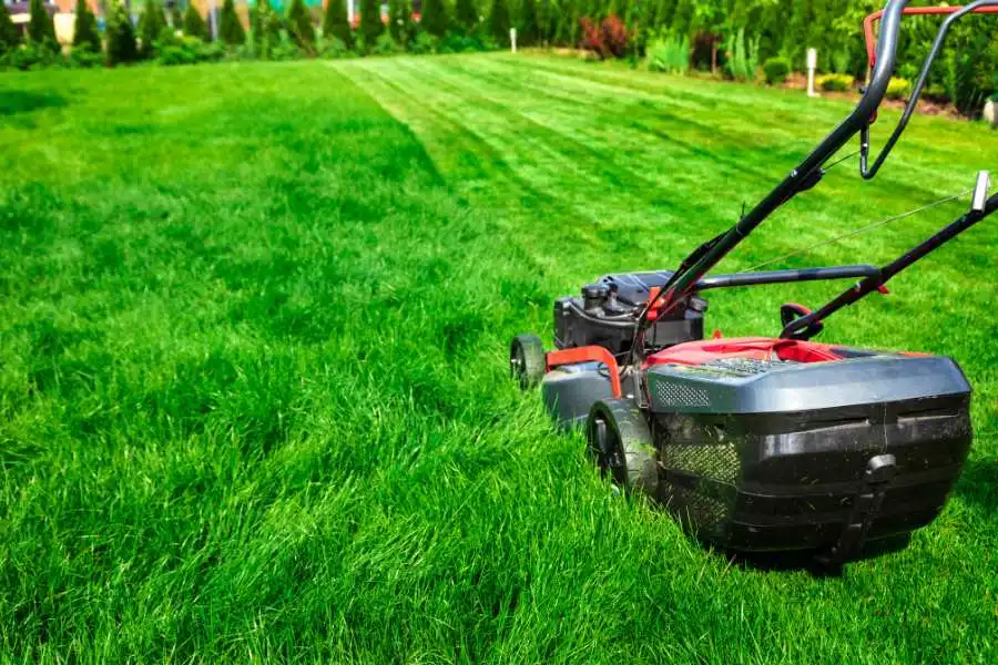 Raise Your Mowing Height