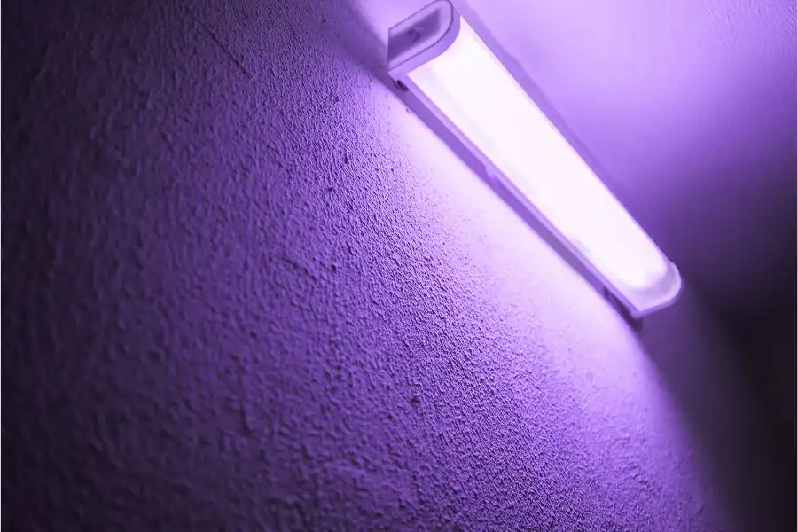 Use A Blacklight To Find Urine Spots