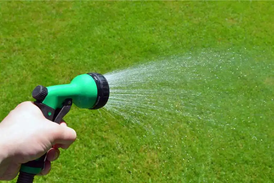 Watering The Affected Area