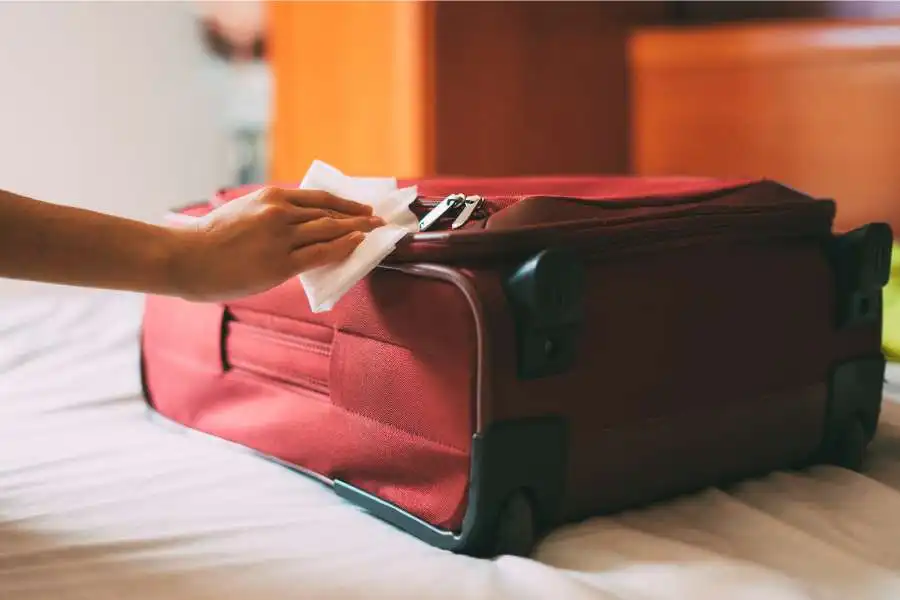 Get Cat Pee Out of Suitcases Step-by-Step Guide