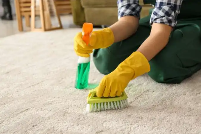 Use Store Bought Cleaners