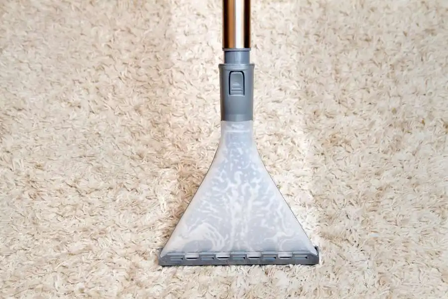 Vacuum The Carpet