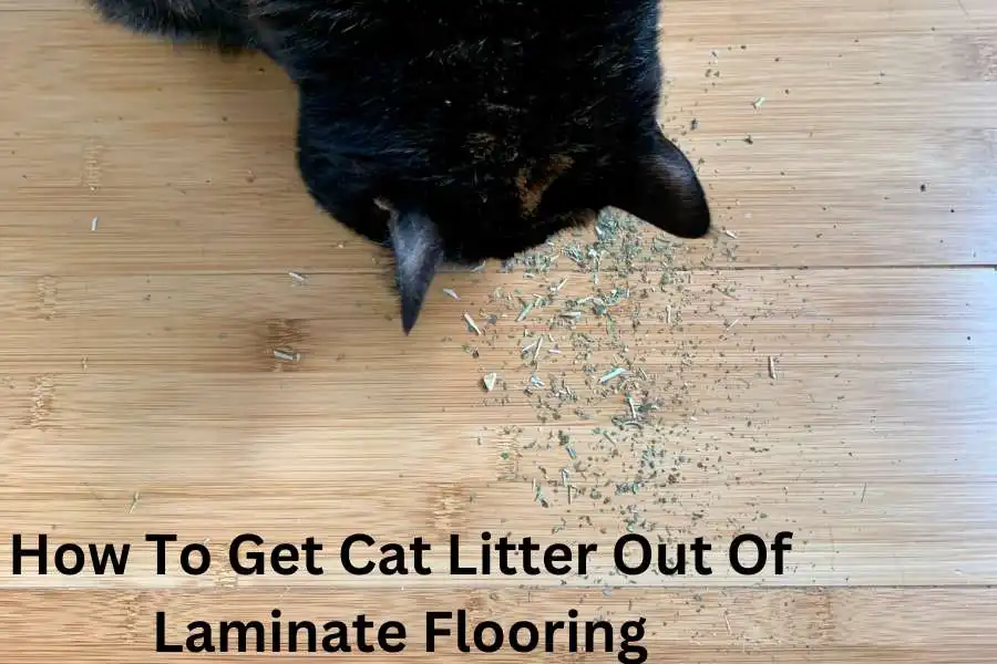 How To Get Cat Litter Out Of Laminate Flooring