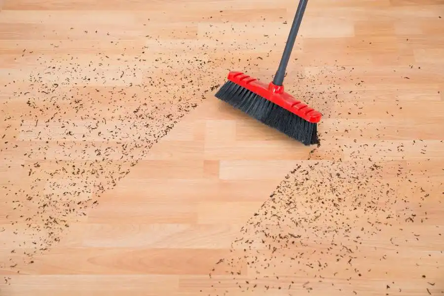 Sweeping and Vacuuming Regularly
