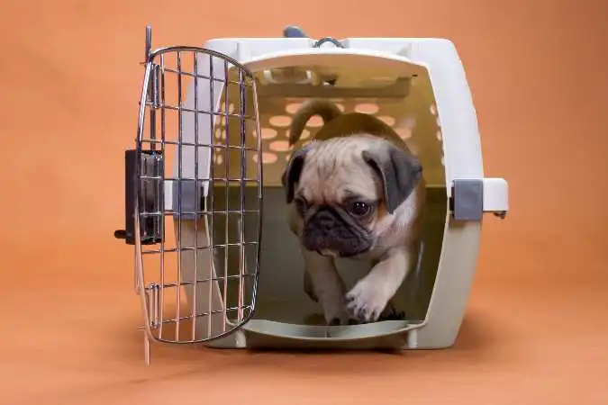 Easy-To-Clean Dog Crate